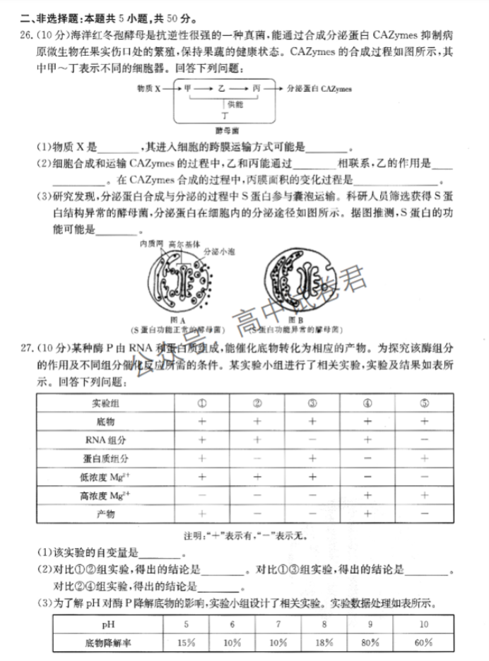 山西金太阳优创名校2024高三10月联考生物试题及答案解析