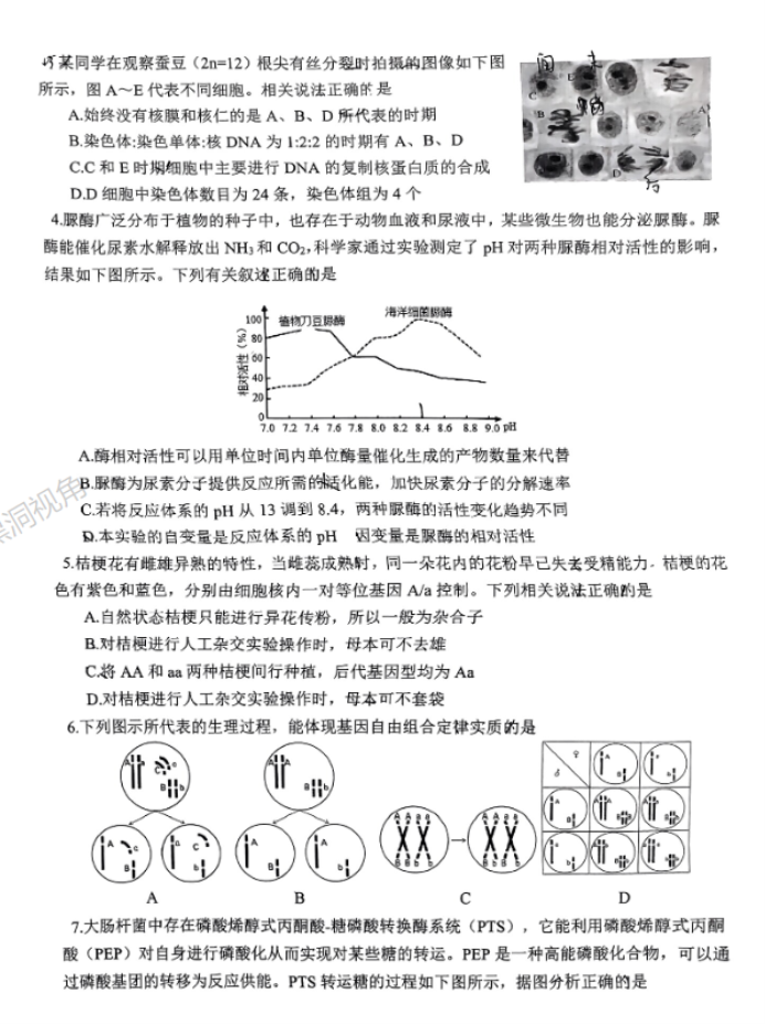 重庆拔尖强基联盟2024高三10月联考生物试题及答案解析