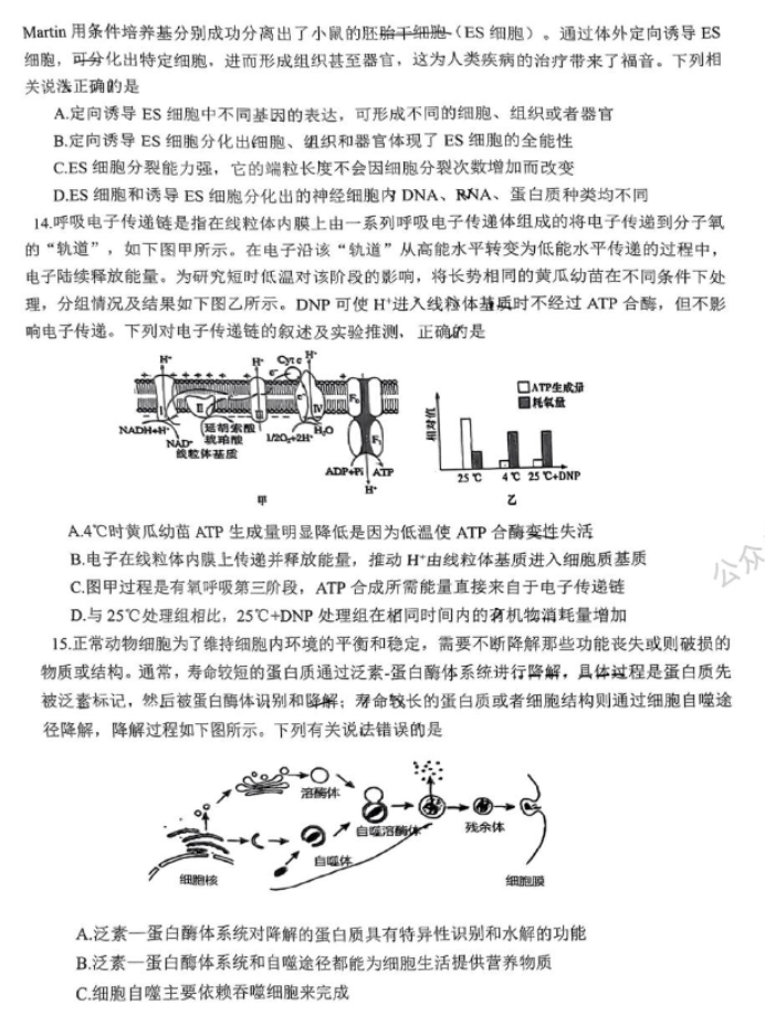 重庆拔尖强基联盟2024高三10月联考生物试题及答案解析