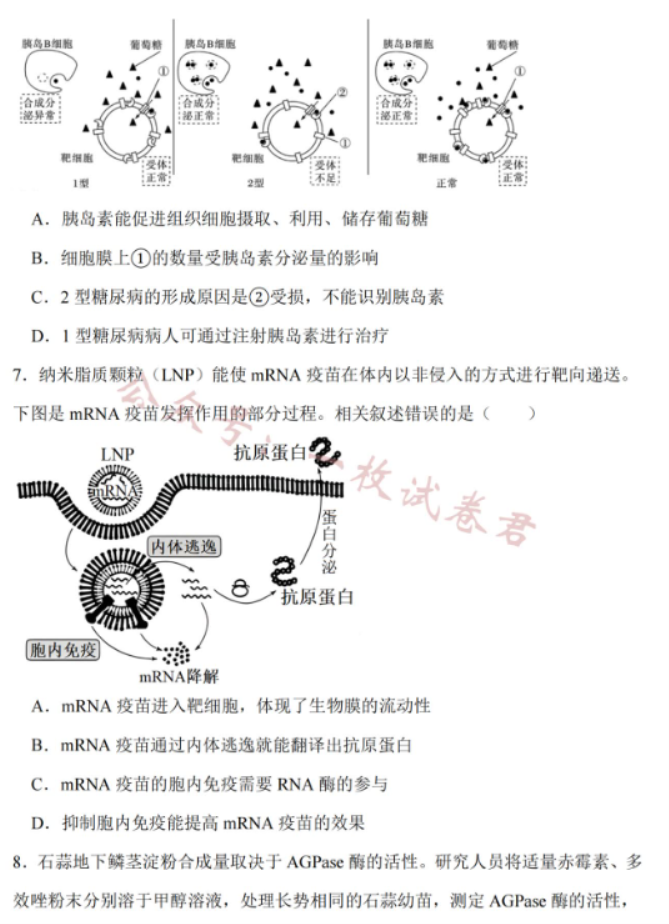 江苏南通2024高三10月质量检测生物试题及答案解析