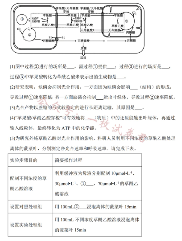 江苏南通2024高三10月质量检测生物试题及答案解析