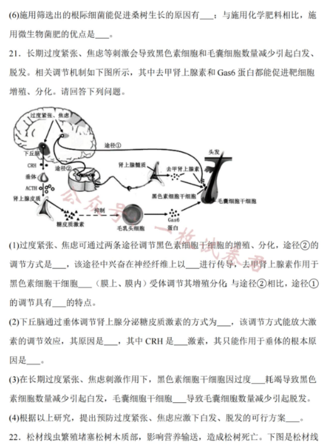 江苏南通2024高三10月质量检测生物试题及答案解析