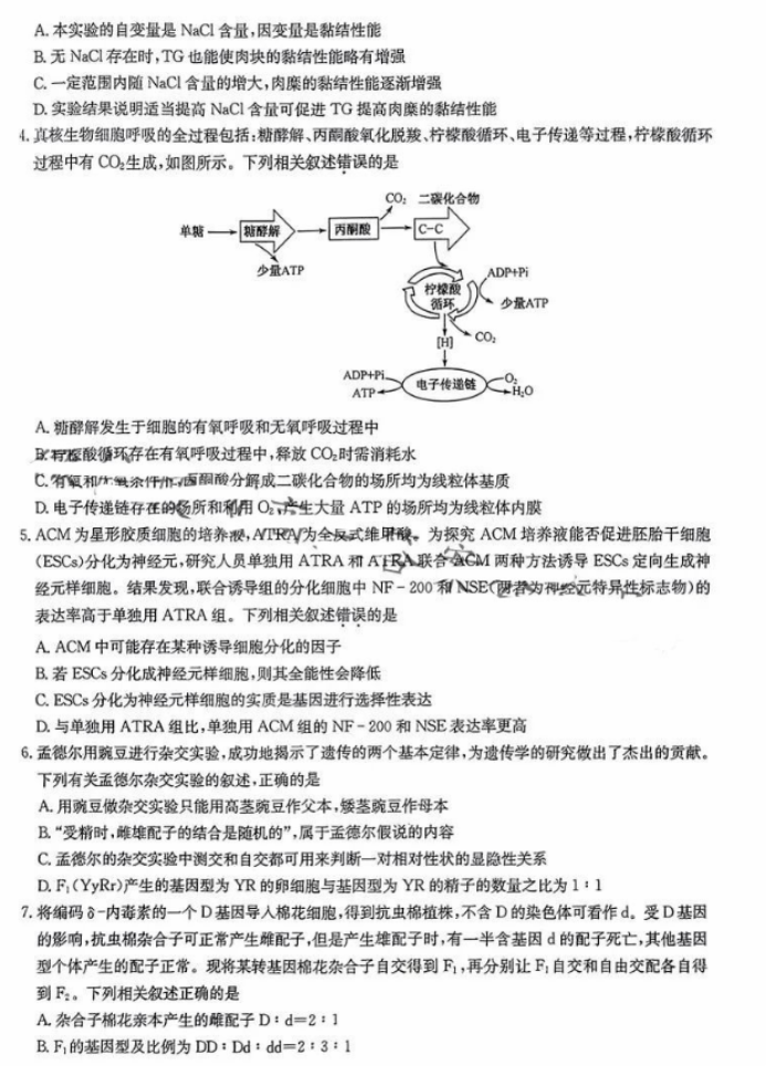 新高考九师联盟2024高三10月质量检测生物试题及答案解析