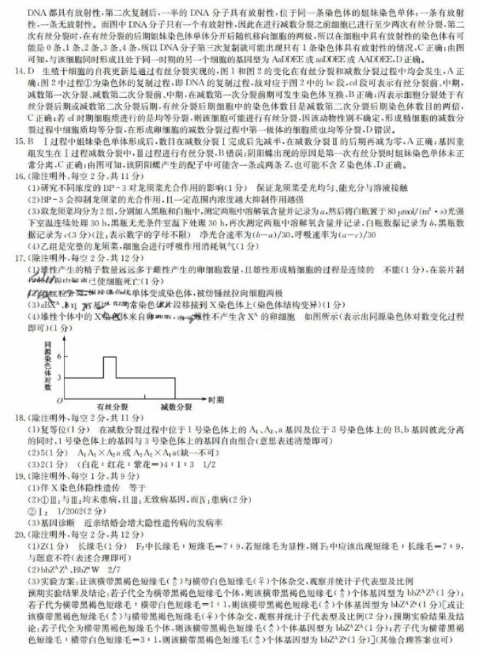 新高考九师联盟2024高三10月质量检测生物试题及答案解析