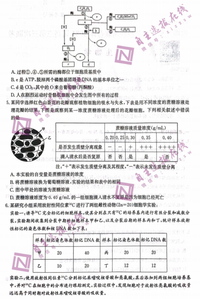 炎德英才名校联考2024高三第三次联考生物试题及答案解析