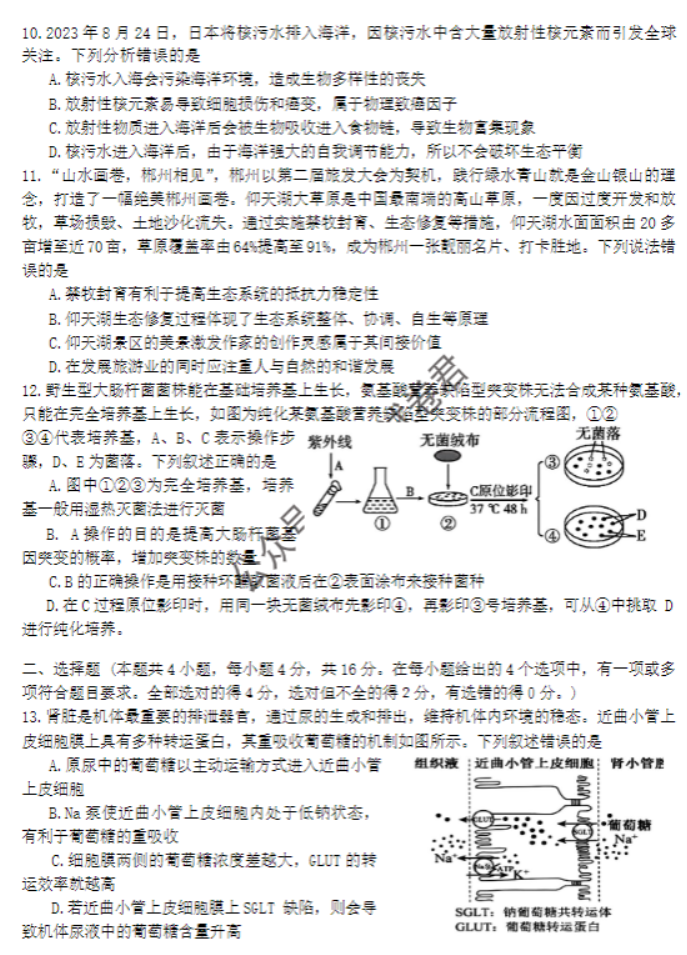 湖南郴州2024高三10月第一次质检生物试题及答案解析