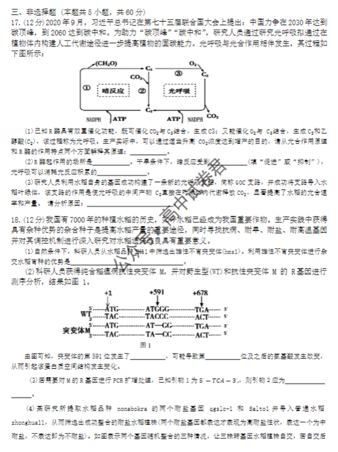 湖南郴州2024高三10月第一次质检生物试题及答案解析