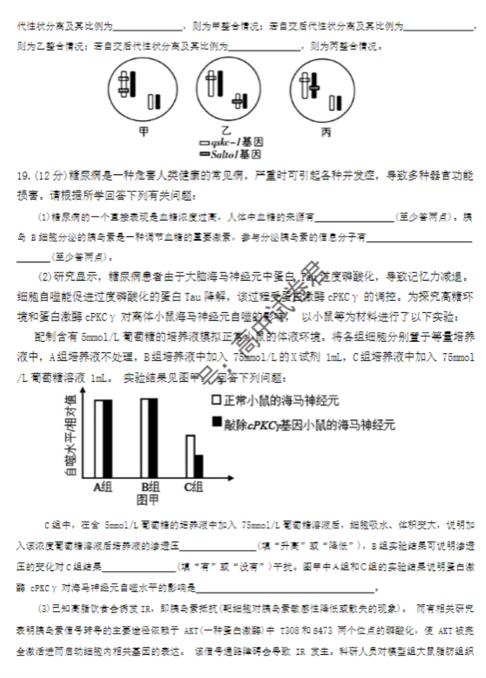 湖南郴州2024高三10月第一次质检生物试题及答案解析