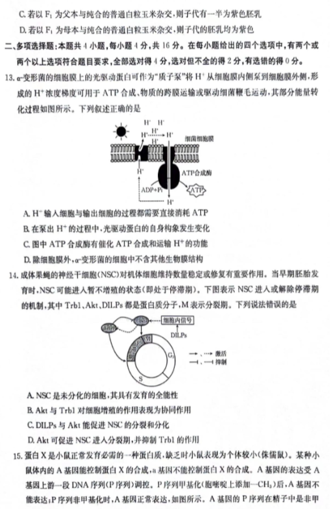 江西金太阳2024高三10月大联考生物试题及答案解析