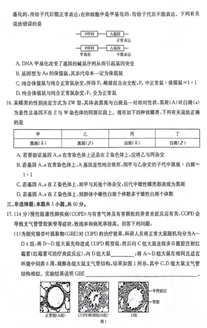 江西金太阳2024高三10月大联考生物试题及答案解析