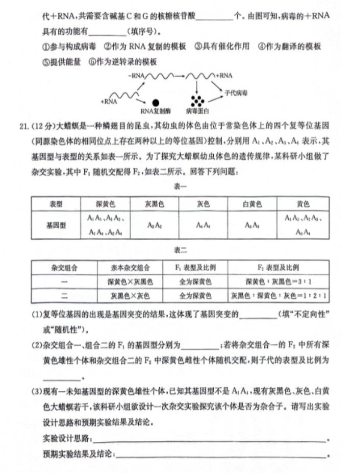 江西金太阳2024高三10月大联考生物试题及答案解析