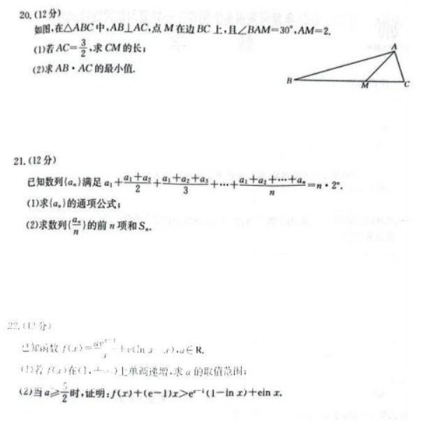 河南金太阳2024高三10月大联考数学试题及答案解析