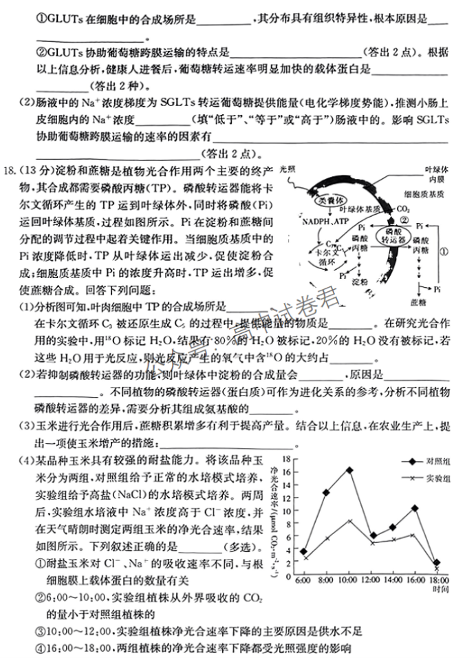 湖南金太阳2024高三10月联考生物试题及答案解析