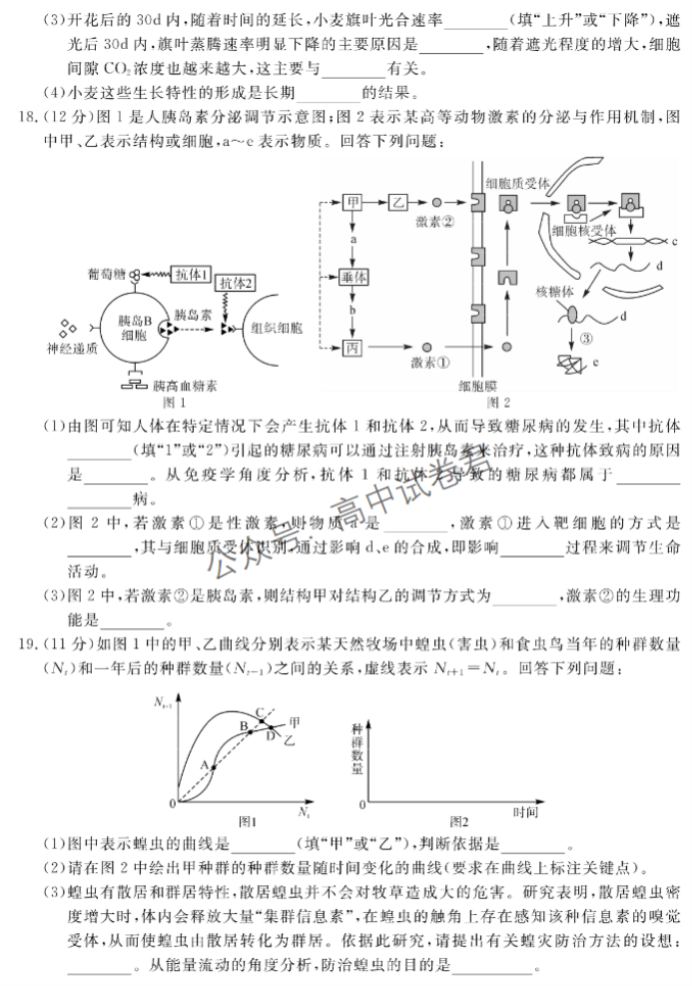 广西北海市2024高三第一次模拟考生物试题及答案解析