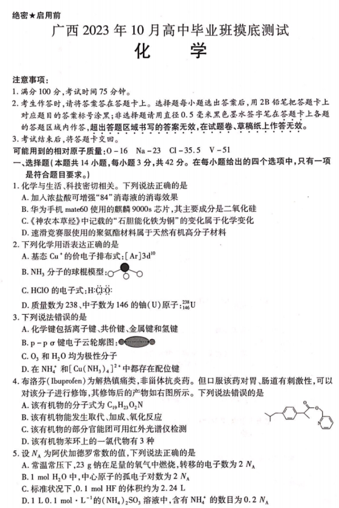 广西2024新高三毕业班10月摸底测试化学试题及答案解析