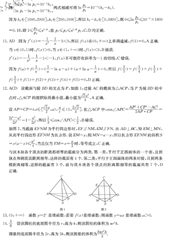 广东湛江2024高三毕业班10月调研考数学试题及答案解析