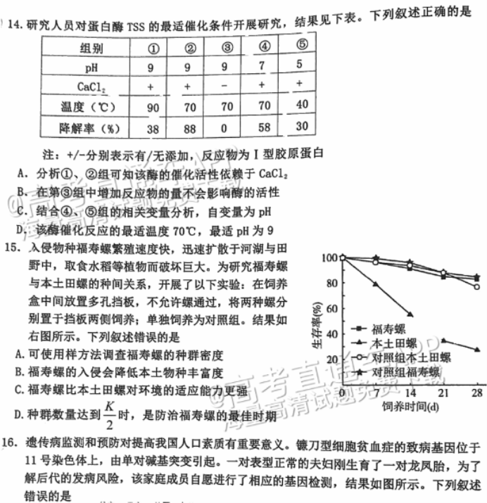 广州花都区2024高三10月调研考生物试题及答案解析