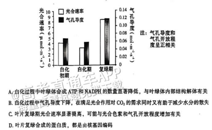 广州越秀区2024高三10月调研考生物试题及答案解析