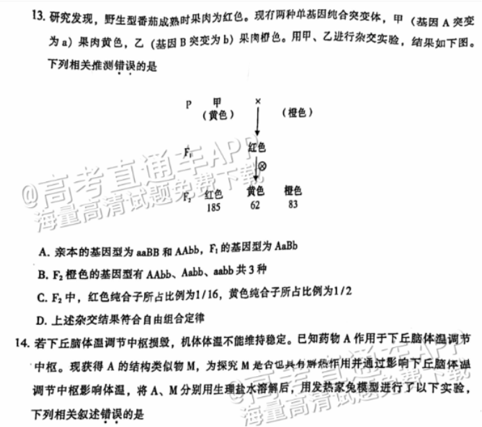 广州越秀区2024高三10月调研考生物试题及答案解析