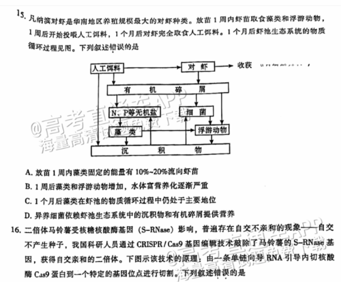 广州越秀区2024高三10月调研考生物试题及答案解析