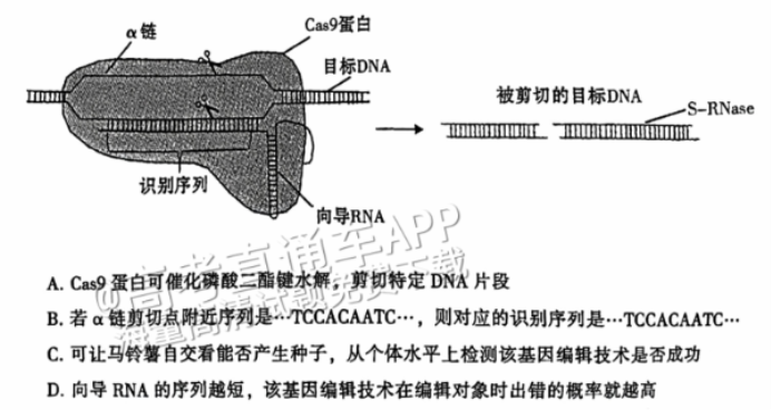 广州越秀区2024高三10月调研考生物试题及答案解析