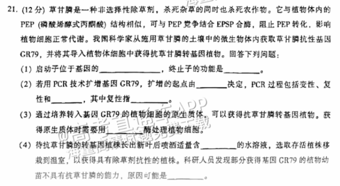 广州越秀区2024高三10月调研考生物试题及答案解析