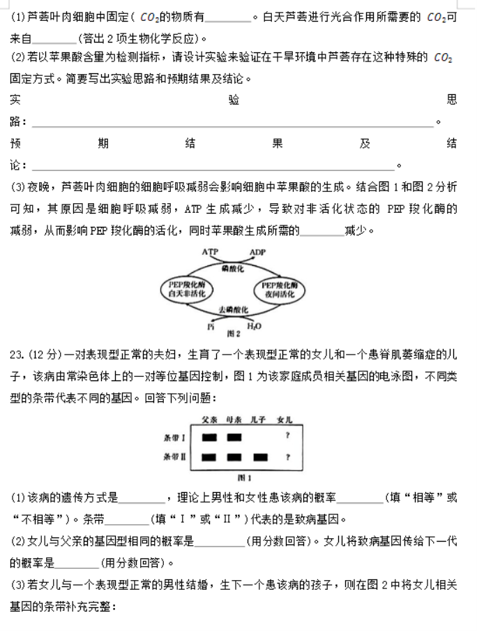 陕西汉中金太阳2024高三第四次联考生物试题及答案解析