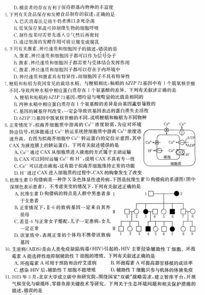 广东金太阳2024高三10月联考生物试题及答案解析