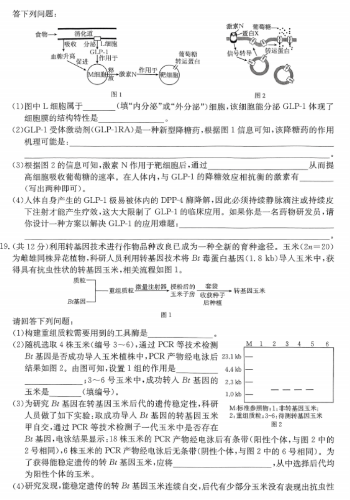 广东金太阳2024高三10月联考生物试题及答案解析