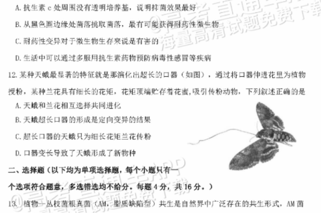 广东惠州2024高三10月第二次调研考生物试题及答案解析