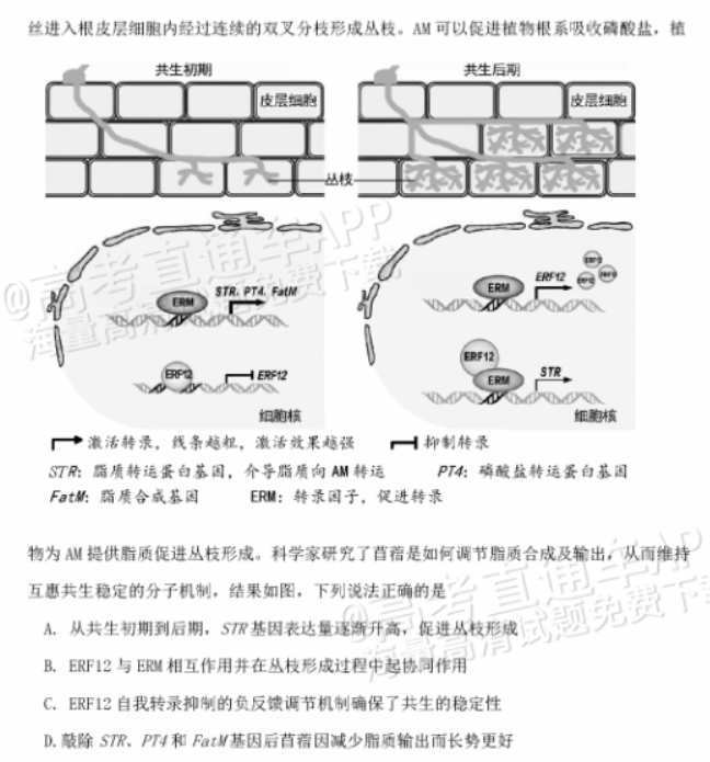 广东惠州2024高三10月第二次调研考生物试题及答案解析