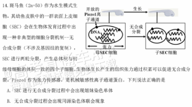 广东惠州2024高三10月第二次调研考生物试题及答案解析