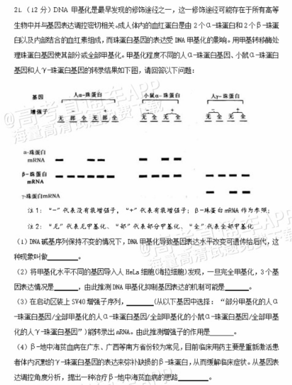 广东惠州2024高三10月第二次调研考生物试题及答案解析