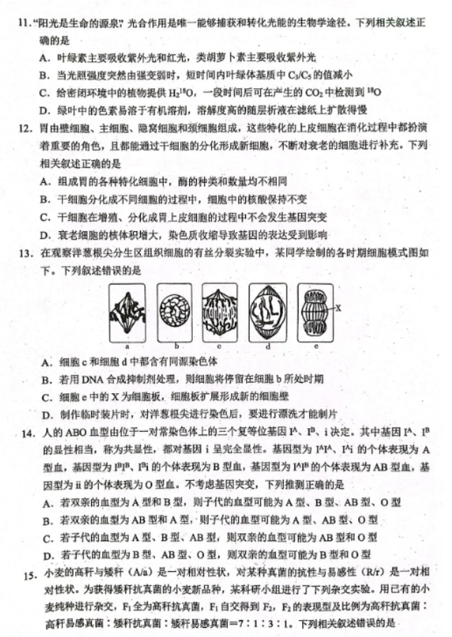 xkw2024高三10月大联考(全国乙卷)生物试题及答案解析