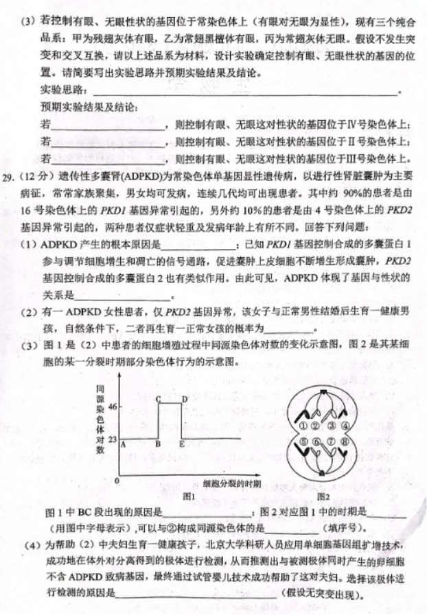 xkw2024高三10月大联考(全国乙卷)生物试题及答案解析