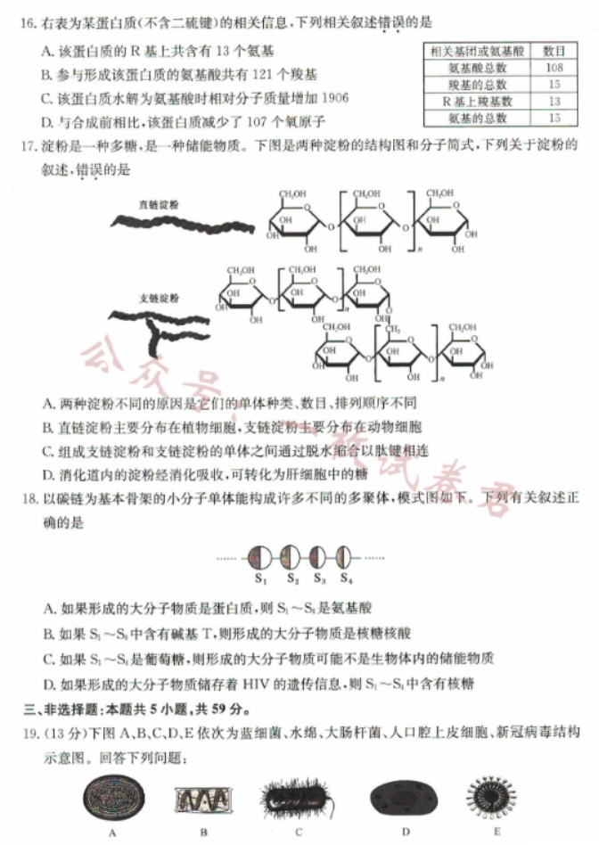 河北沧州远东七县2024高一10月期中考生物试题及答案解析