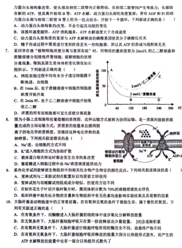 湖北鄂东南联盟学校2024高三期中联考生物试题及答案解析