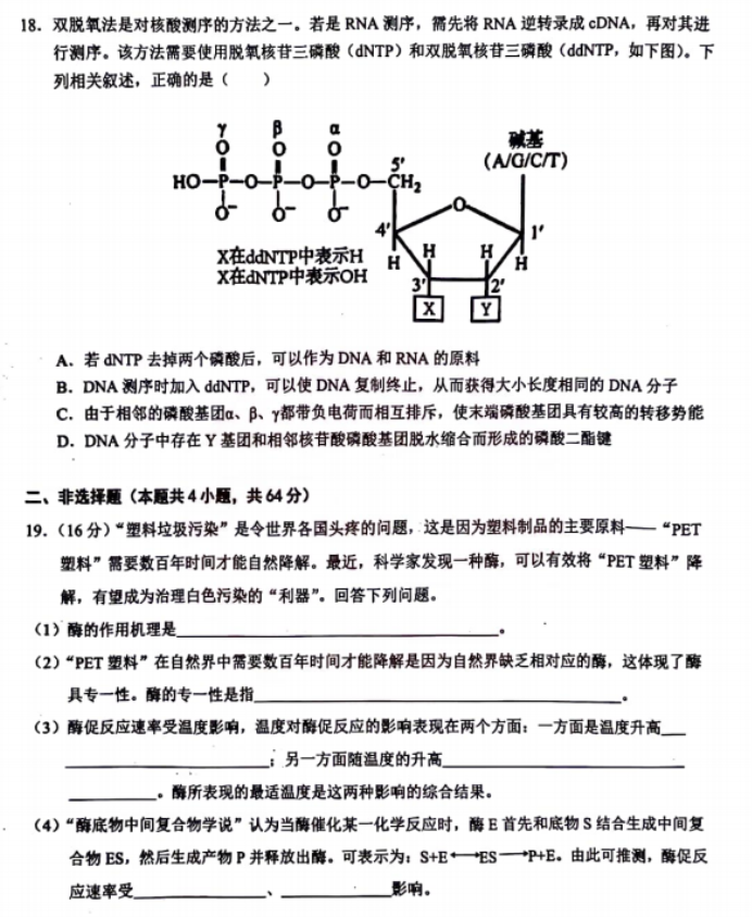 湖北鄂东南联盟学校2024高三期中联考生物试题及答案解析