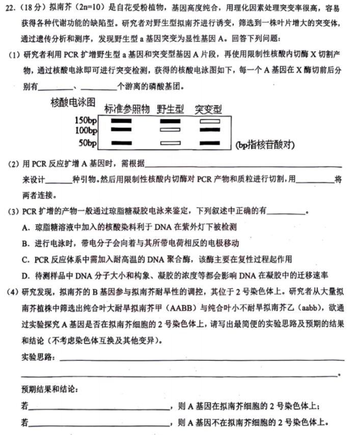 湖北鄂东南联盟学校2024高三期中联考生物试题及答案解析