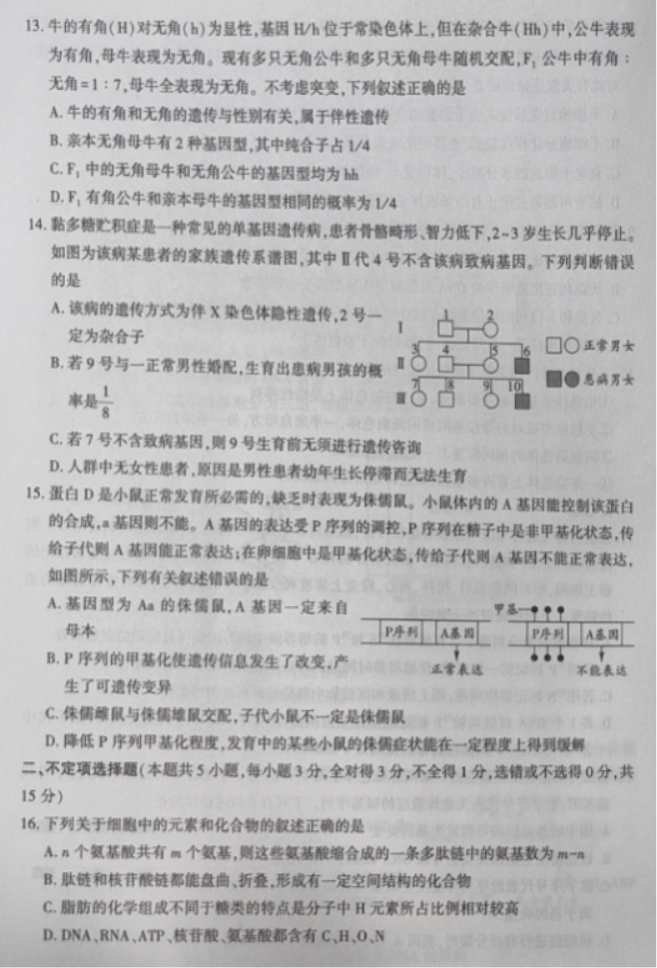 辽宁沈阳联合体2024高三期中检测考试生物试题及答案解析