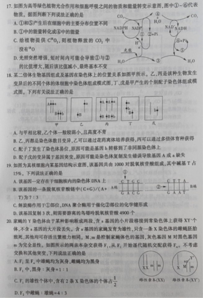 辽宁沈阳联合体2024高三期中检测考试生物试题及答案解析