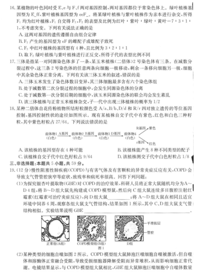 河北金太阳2024高三11月大联考生物试题及答案解析