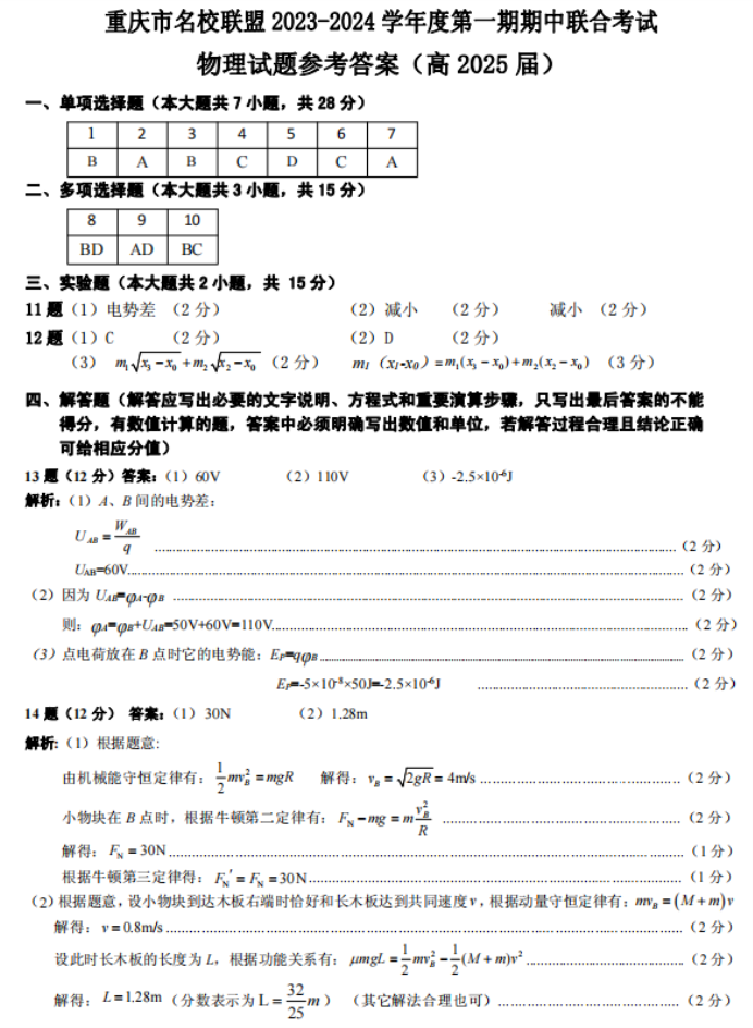 重庆名校联盟2024高二上学期期中联考物理试题及答案解析