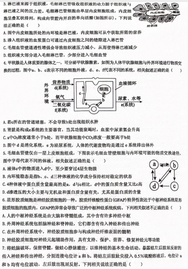 重庆名校联盟2024高二上学期期中联考生物试题及答案解析