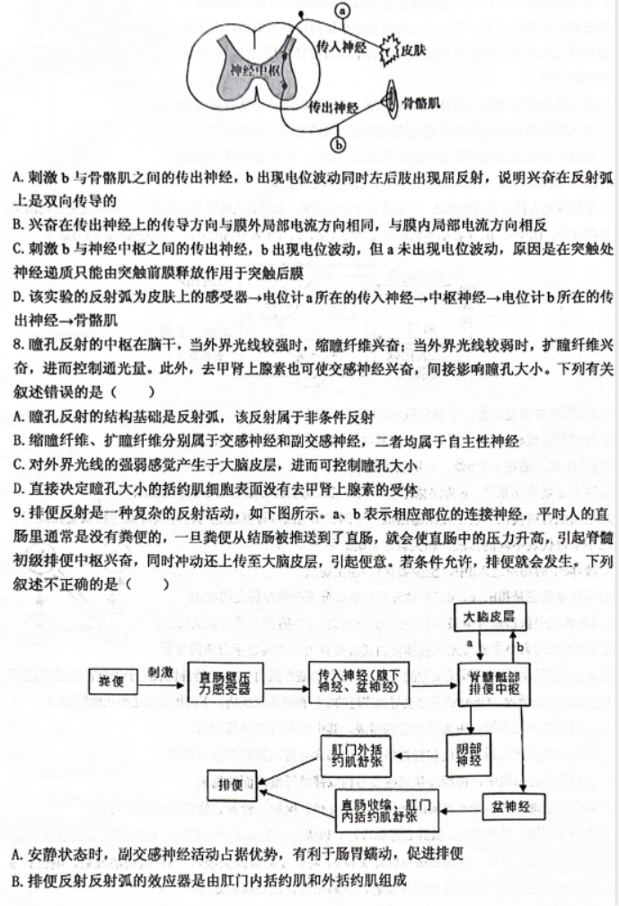 重庆名校联盟2024高二上学期期中联考生物试题及答案解析