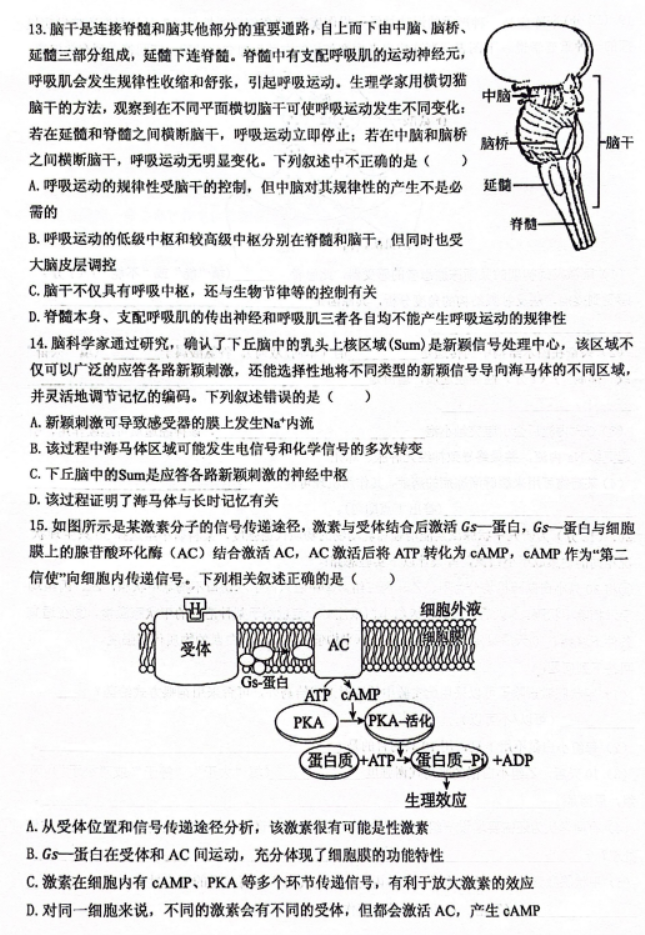 重庆名校联盟2024高二上学期期中联考生物试题及答案解析