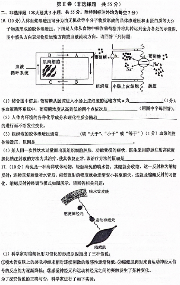 重庆名校联盟2024高二上学期期中联考生物试题及答案解析