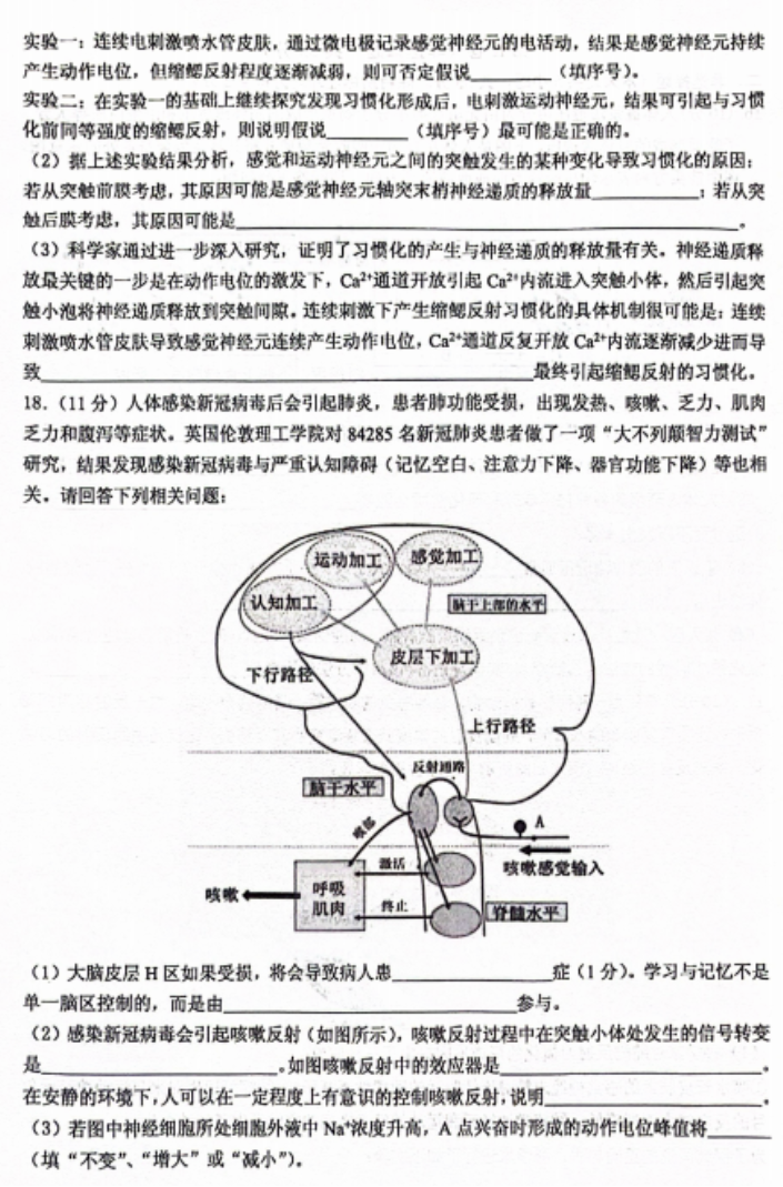 重庆名校联盟2024高二上学期期中联考生物试题及答案解析