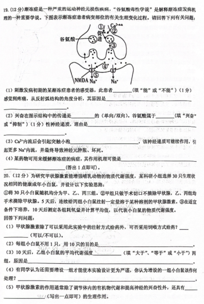 重庆名校联盟2024高二上学期期中联考生物试题及答案解析