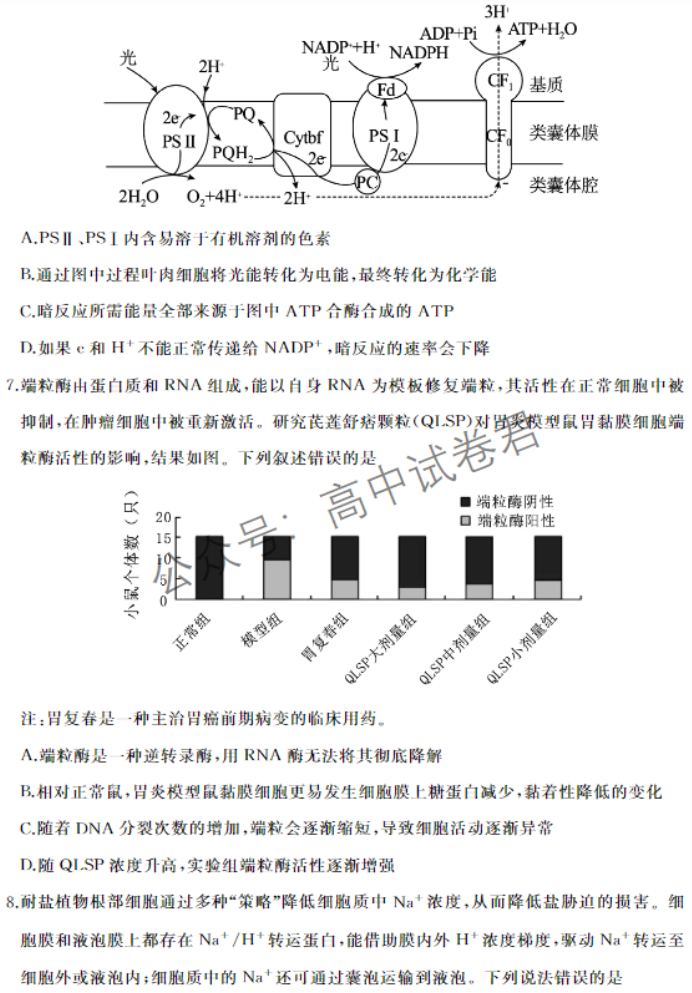 山东滕州市2024高三上学期期中考试生物试题及答案解析